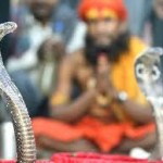Naga Panchami 2013