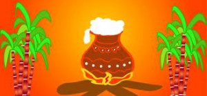 Thai Pongal 2014